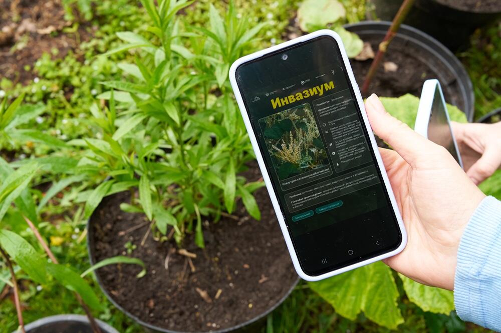 Стартовал проект научного волонтерства «Инвазиум. Как быстро бегают зеленые пришельцы?»