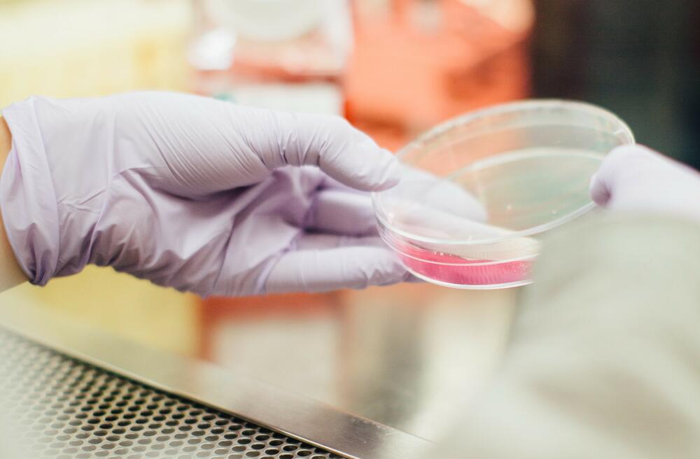 Учёный держит в руках ёмкость с антибактериальным покрытием для имплантатов